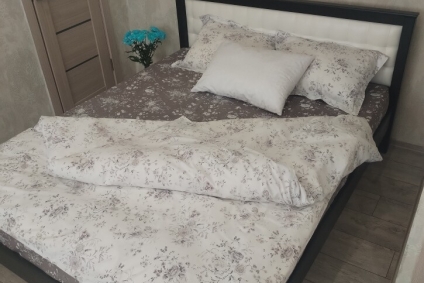 УЮТНАЯ ОДНУШКА В ЦЕНТРЕ МИНСКА НА СУТКИ И НЕДЕЛИ.