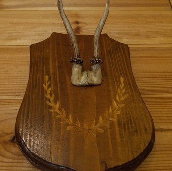 Усадьба Магнолия