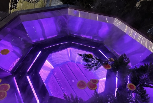 Дом-баня-чан Zhemchuzhina_house в Клейниках