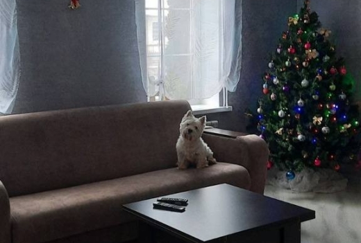 Дом на сутки в Полоцке