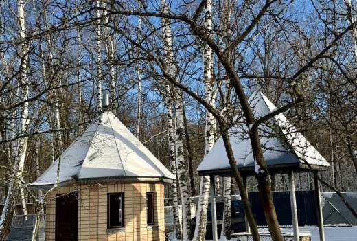 Треугольный дом A-frame район Чёнки