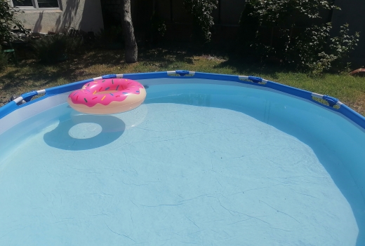 Дом на сутки