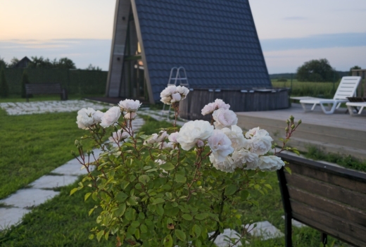 Коттедж на сутки на Днепровской