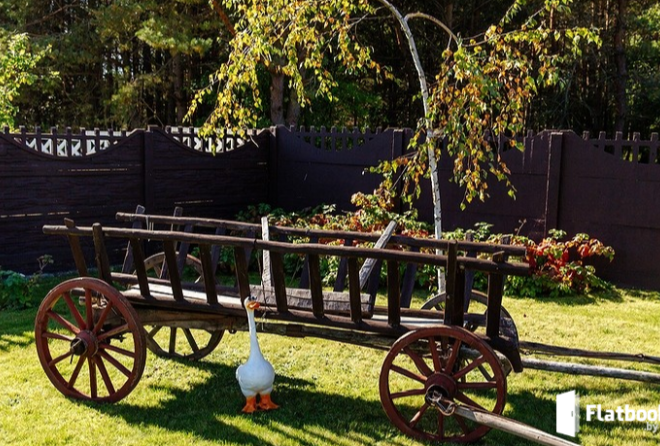 'территория'