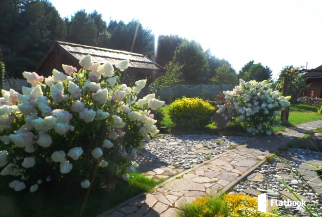 'территория'