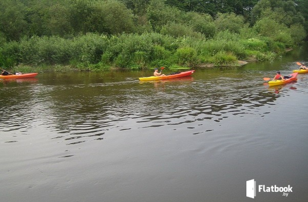 'территория'