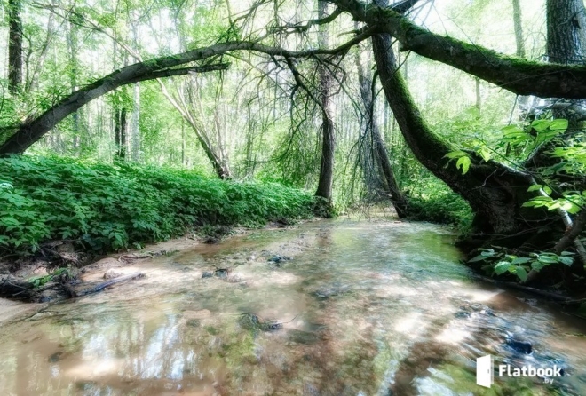 'окресности'