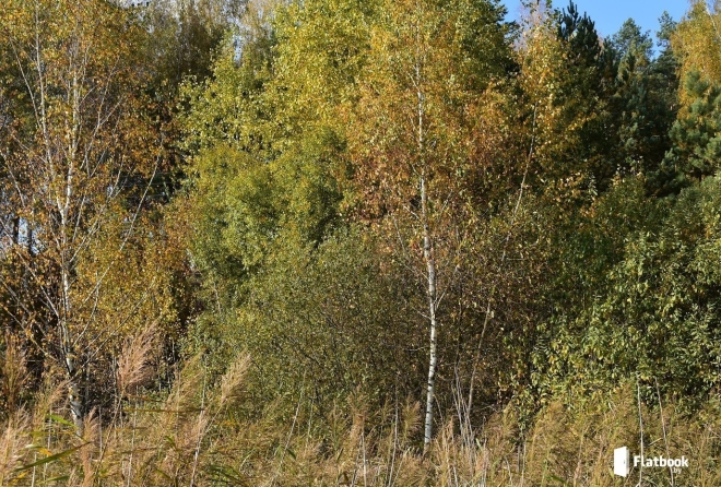 ''