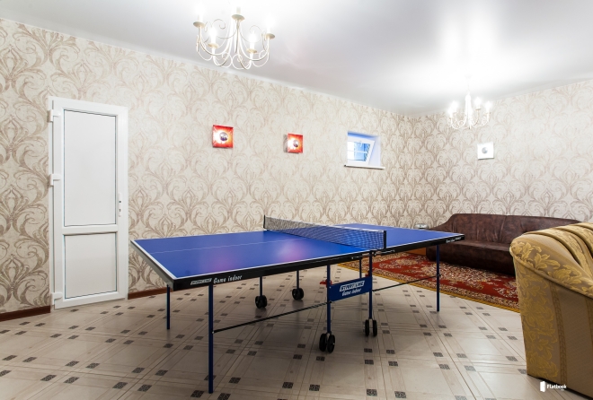 'настольный тенис'