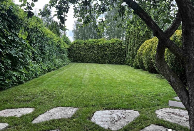 'территория'