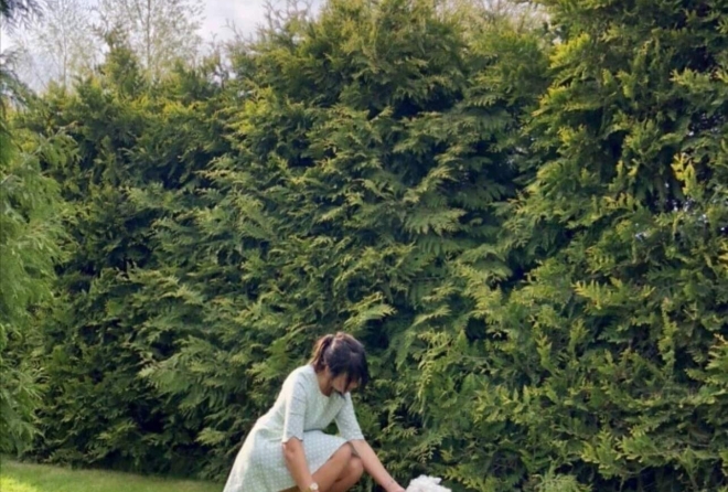 'территория'