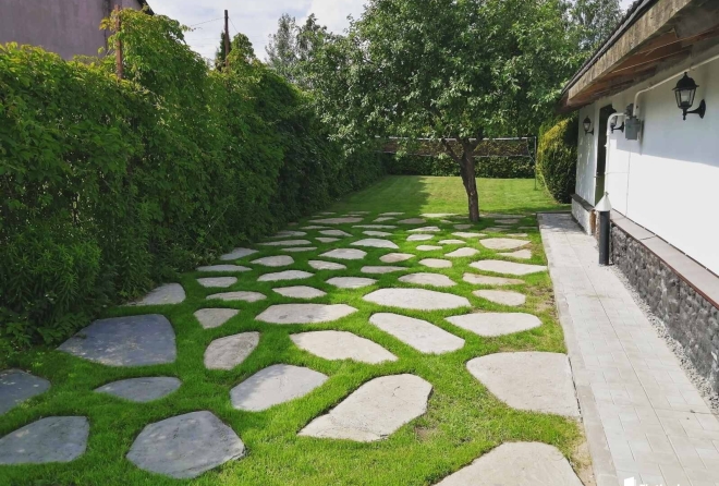 'территория'