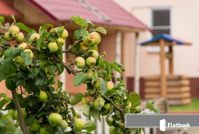 'территория'