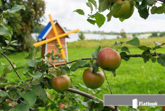 'территория'