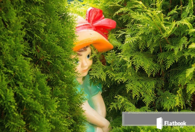 'территория'