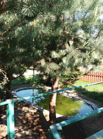 'территория'