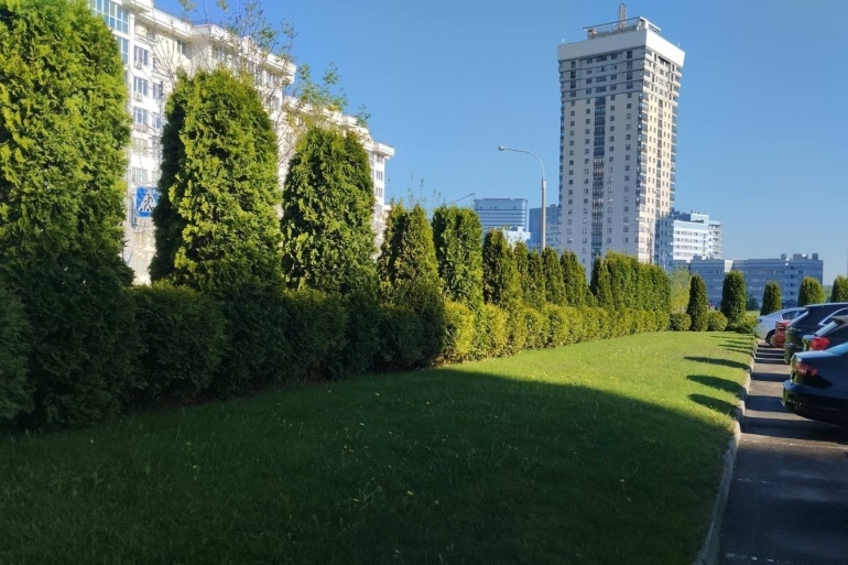 изображение_viber_2026-05-25_11-26-02-197_21.jpg