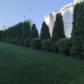 1000324266.jpg